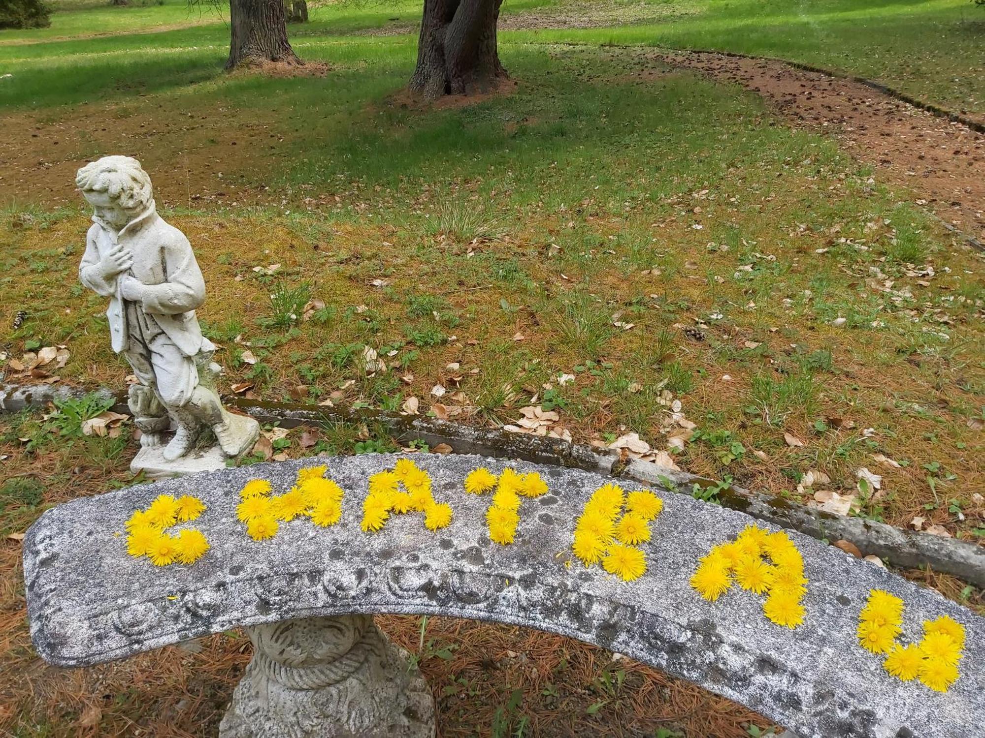 Hotel Chateau Cihelny Karlsbad Eksteriør billede